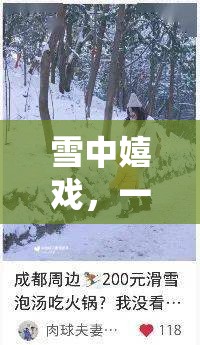 雪域奇趣，一場(chǎng)別開生面的雪中探險(xiǎn)作文游戲