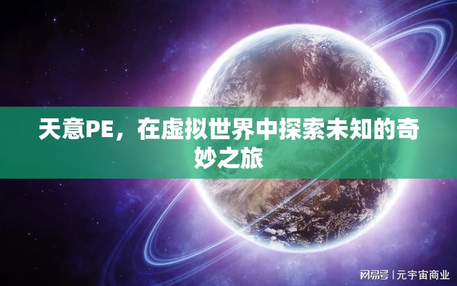 天意PE，虛擬世界的奇妙探險(xiǎn)之旅