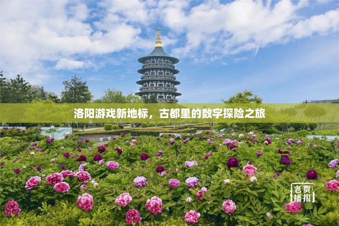 洛陽新地標(biāo)，古都中的數(shù)字探險之旅