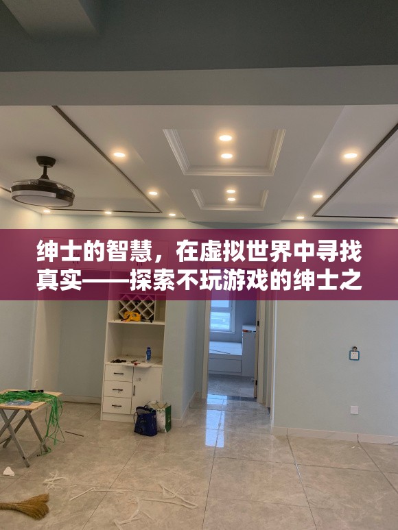 虛擬世界中的真實(shí)探索，不玩游戲的紳士智慧之旅  第3張