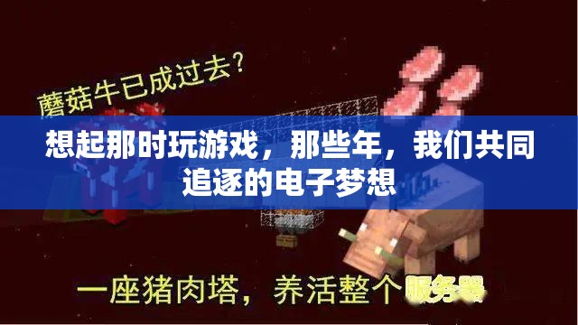 那些年，我們共同追逐的電子夢想，回憶中的游戲時光