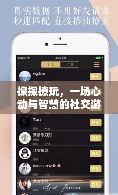 探探撩玩，一場心動與智慧的社交游戲