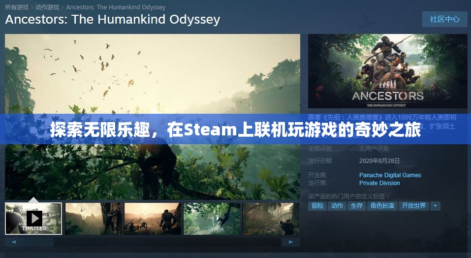 Steam聯(lián)機游戲，探索無限樂趣的奇妙之旅