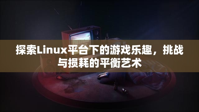 Linux平臺(tái)下的游戲探索，挑戰(zhàn)與損耗的平衡藝術(shù)