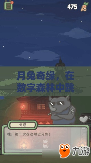 月兔奇緣，數(shù)字森林的歡樂跳躍冒險(xiǎn)