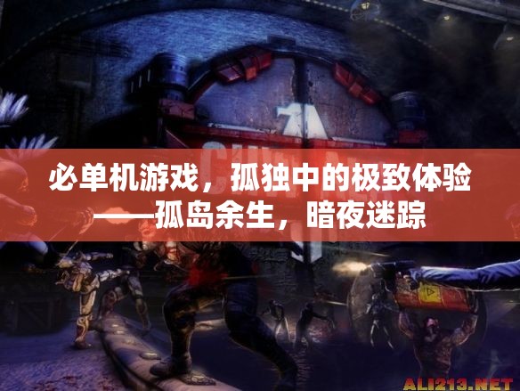 孤島余生，暗夜迷蹤——探索孤獨(dú)中的極致游戲體驗(yàn)
