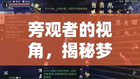 夢幻島，旁觀者眼中的魅力與社交奇遇