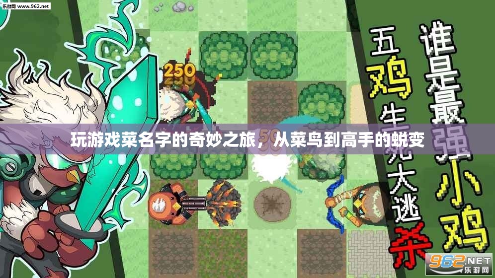 菜鳥(niǎo)逆襲，游戲名字的奇妙成長(zhǎng)之旅