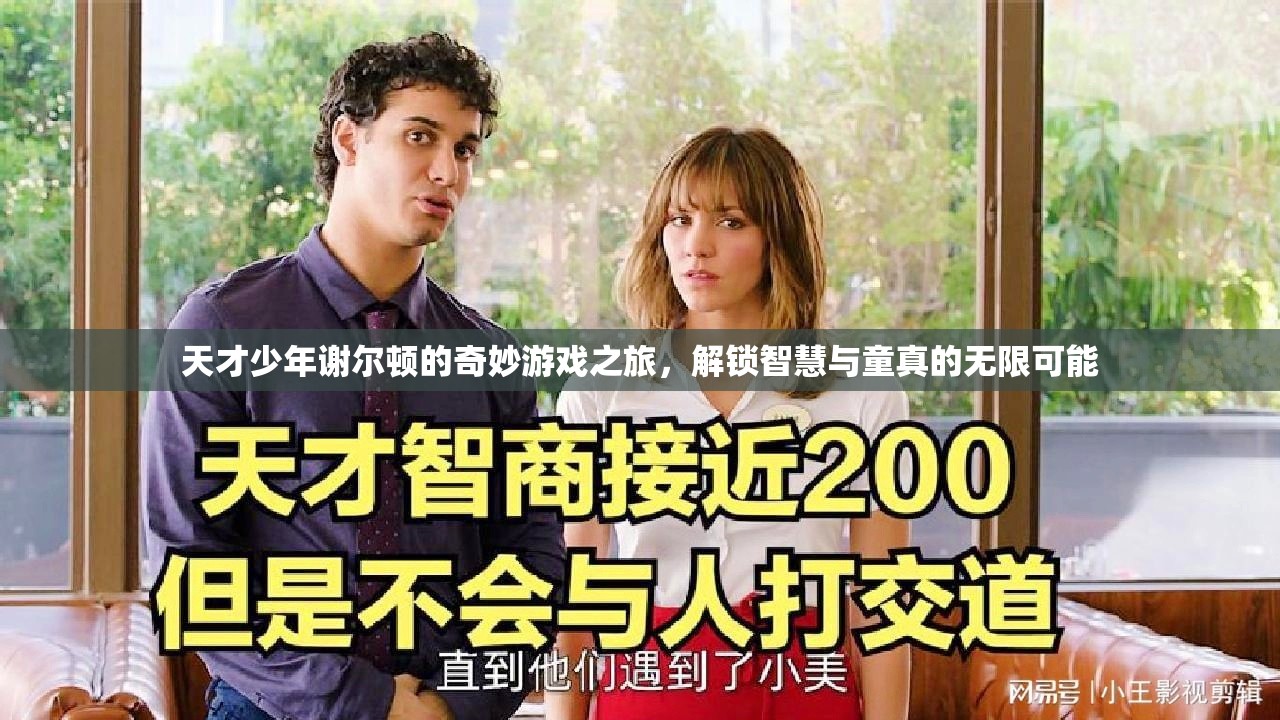 謝爾頓的奇妙游戲之旅，解鎖智慧與童真的無(wú)限可能