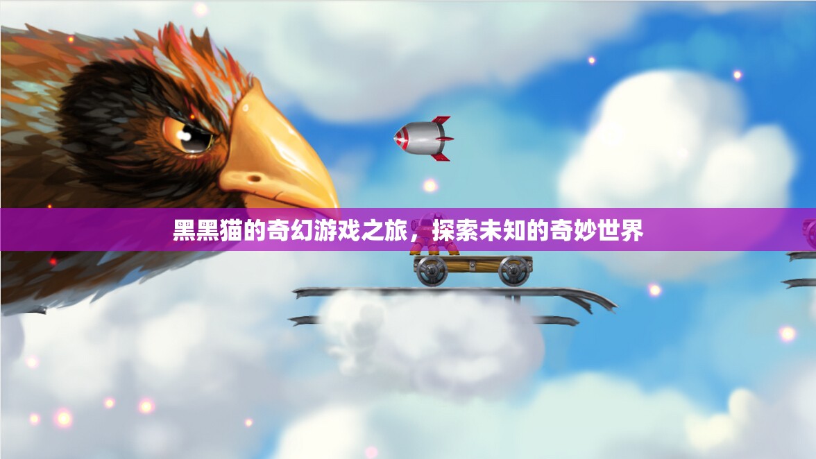 黑黑貓的奇幻冒險，探索未知的奇妙世界之旅