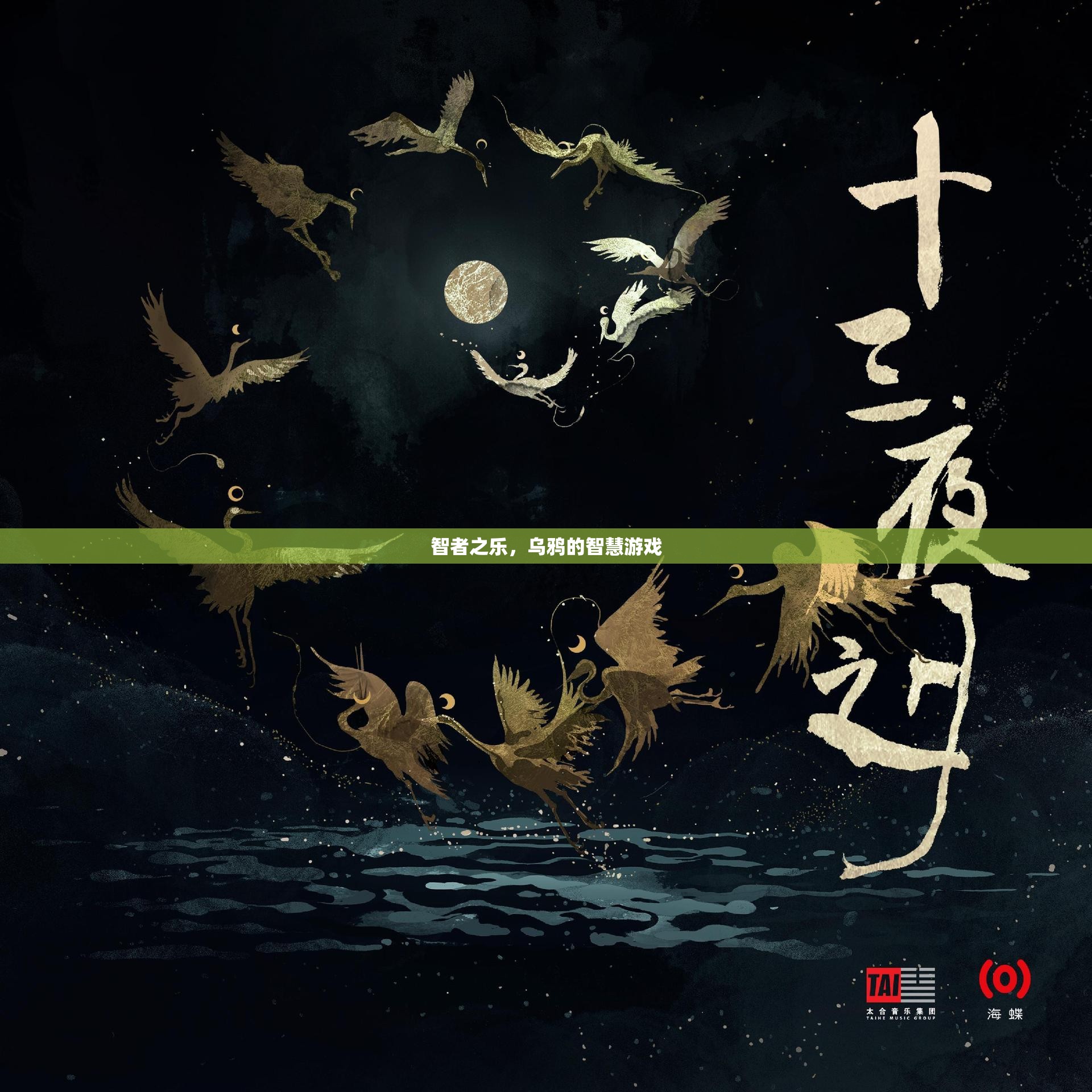 智者之樂，烏鴉的智慧游戲