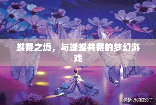 蝶舞之境，共舞夢(mèng)幻的蝴蝶奇緣