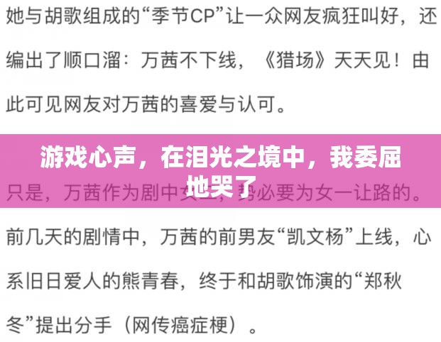 淚光之境中的游戲心聲，委屈的淚水與情感的共鳴  第1張