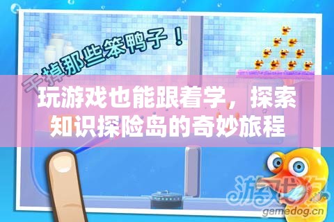 知識(shí)探險(xiǎn)島，在游戲中探索奇妙的知識(shí)之旅