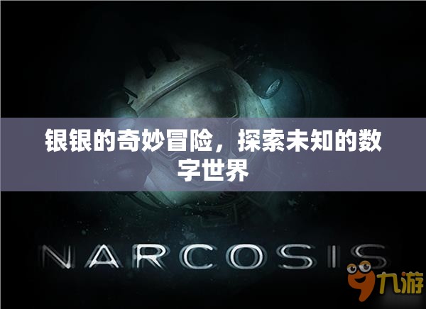 銀銀的數(shù)字奇境，探索未知的數(shù)字世界冒險之旅