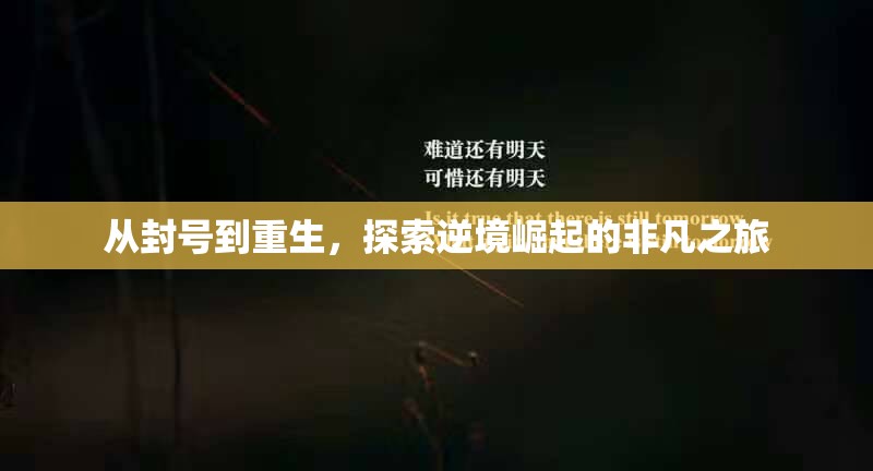 逆境重生，封號(hào)之旅的非凡崛起