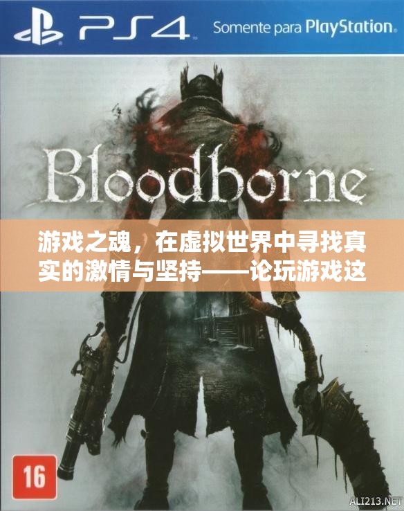 游戲之魂，在虛擬世界中追尋真實的激情與堅持