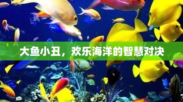大魚小丑，智慧與歡樂的海洋對決