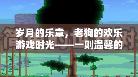 老狗的數(shù)字世界歡樂探險(xiǎn)，歲月的樂章