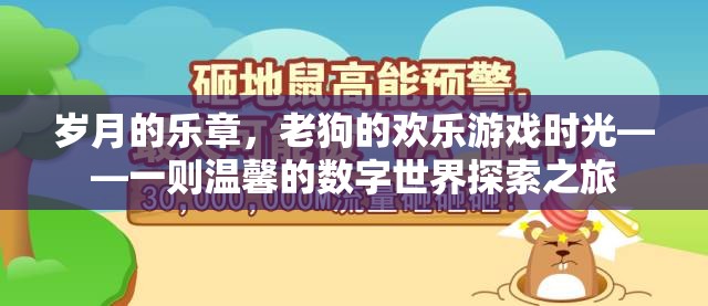 老狗的數(shù)字世界歡樂探險(xiǎn)，歲月的樂章