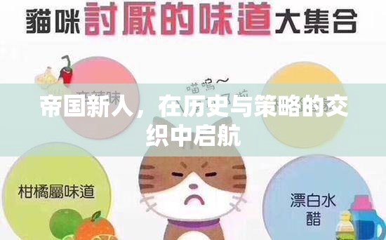 帝國(guó)新秀，在歷史與策略的波瀾中啟航