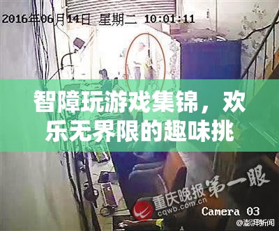 智障游戲大挑戰(zhàn)，歡樂無界限的趣味集錦