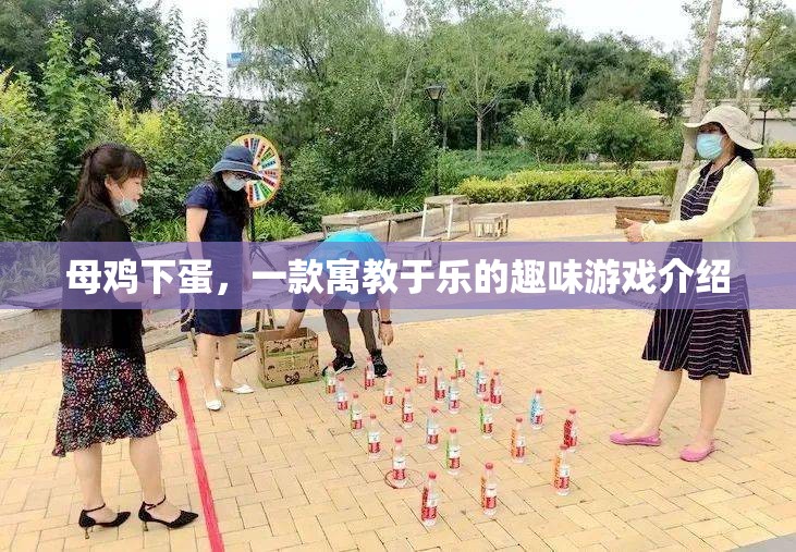 母雞下蛋，寓教于樂的趣味游戲體驗