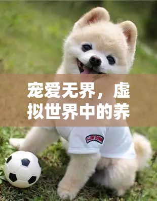 狗狗樂園大冒險(xiǎn)，寵愛無界的虛擬養(yǎng)狗游戲  第3張