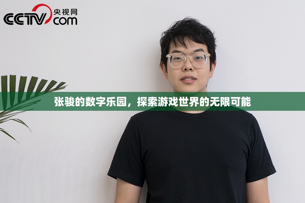 張駿的數(shù)字樂(lè)園，解鎖游戲世界的無(wú)限可能
