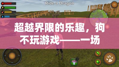 超越界限的陪伴，狗不玩游戲的虛擬冒險(xiǎn)之旅