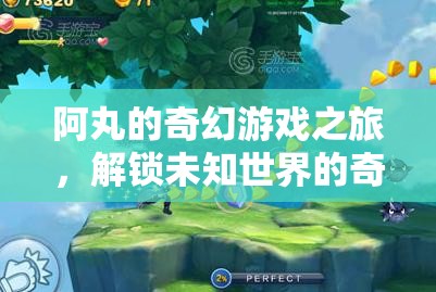 阿丸的奇幻游戲之旅，解鎖未知世界的奇妙冒險