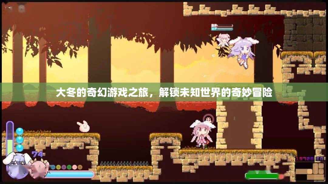 大冬的奇幻游戲之旅，解鎖未知世界的奇妙冒險(xiǎn)