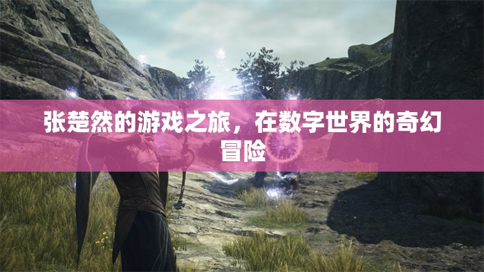 張楚然的數(shù)字奇幻冒險，游戲之旅