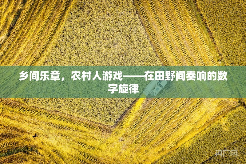 田野間的數(shù)字樂章，農(nóng)村人游戲與現(xiàn)代科技的和諧共舞
