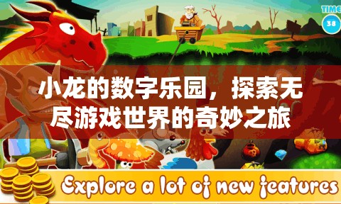 小龍的數(shù)字樂園，一場探索無盡游戲世界的奇妙之旅
