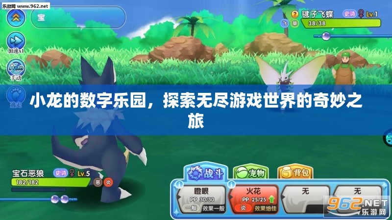小龍的數(shù)字樂園，一場探索無盡游戲世界的奇妙之旅