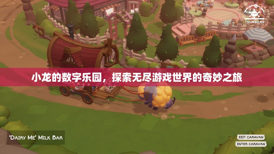 小龍的數(shù)字樂園，一場探索無盡游戲世界的奇妙之旅