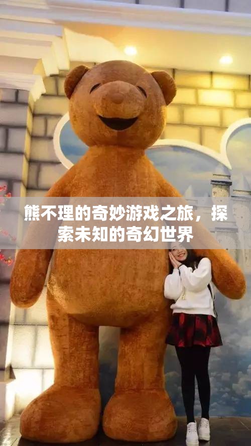 熊不理的奇幻冒險(xiǎn)，探索未知的奇妙世界
