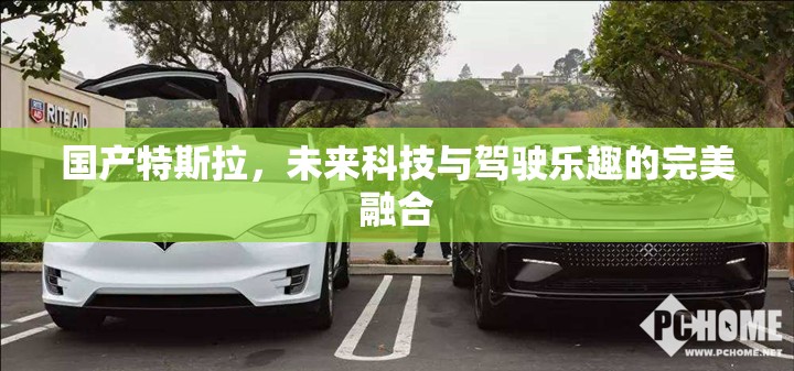 國產(chǎn)特斯拉，未來科技與駕駛樂趣的完美融合