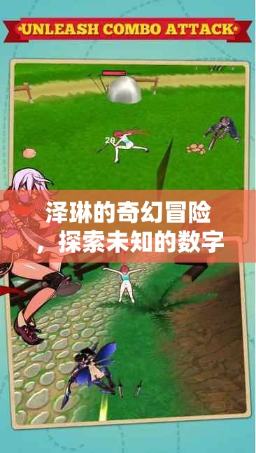 澤琳的數(shù)字世界奇幻之旅，探索未知的數(shù)字奇境
