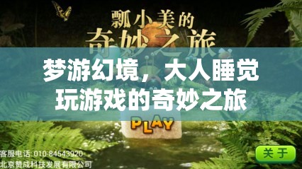 夢游幻境，大人睡覺時的奇妙游戲之旅