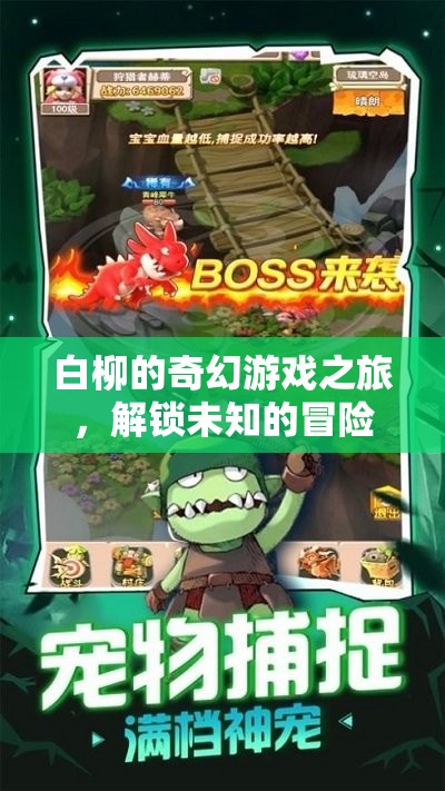 白柳的奇幻游戲，解鎖未知的冒險
