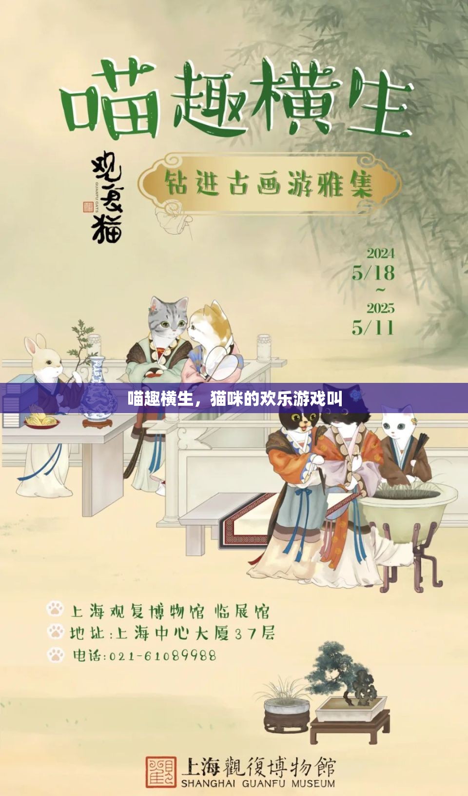 喵趣橫生，貓咪的歡樂(lè)游戲大賞