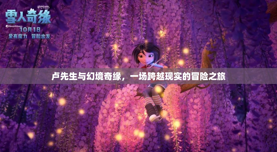 盧先生，幻境奇緣——跨越現(xiàn)實(shí)的冒險(xiǎn)之旅