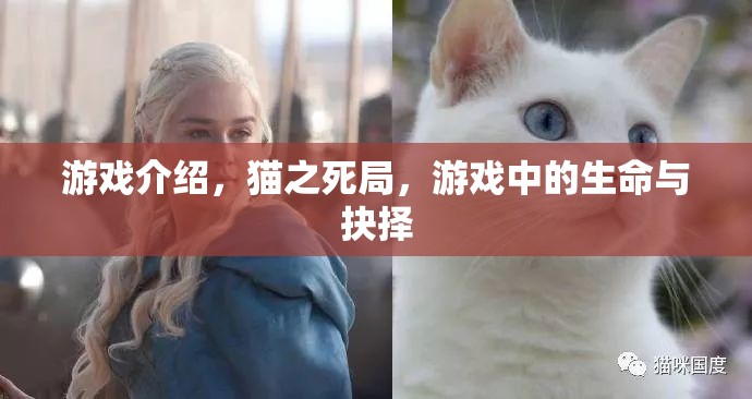 貓之死局，游戲中的生命與抉擇  第1張