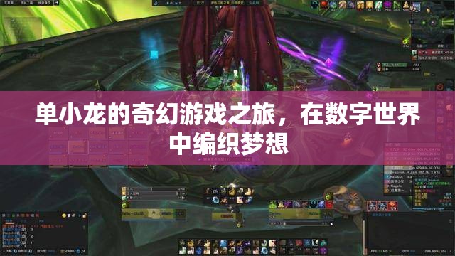 單小龍的數(shù)字夢境編織，一場奇幻游戲之旅