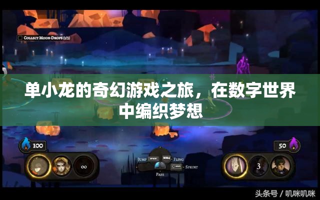 單小龍的數(shù)字夢境編織，一場奇幻游戲之旅