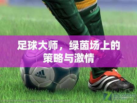 足球大師，綠茵場上的策略與激情