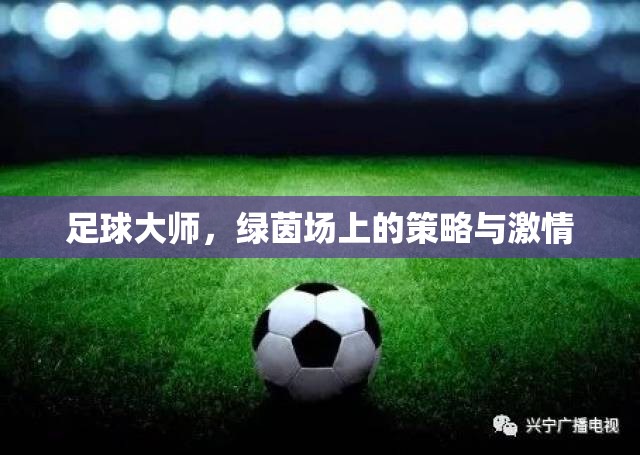足球大師，綠茵場上的策略與激情