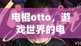 電棍otto，游戲世界的電擊風暴  第1張